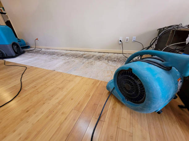 Professional Water Damage Repair technician working in Selma, NC