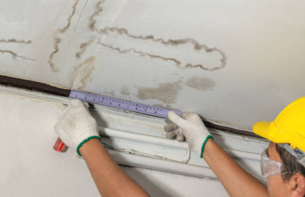 Affordable Water Damage Repair solutions in Selma, NC